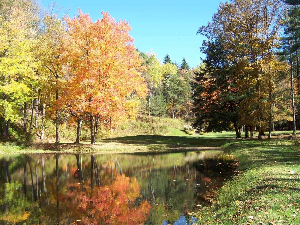 Elkdale Country Club Salamanca, NY The Course